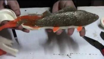 Embedded thumbnail for Molding A Real Fish - Perch Muskie Lure